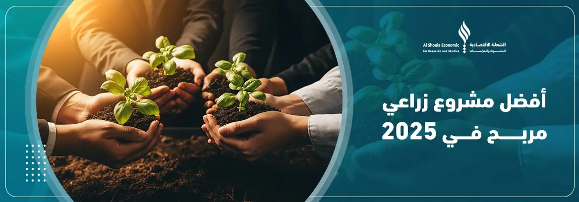 أفضل مشروع زراعي مربح في 2025