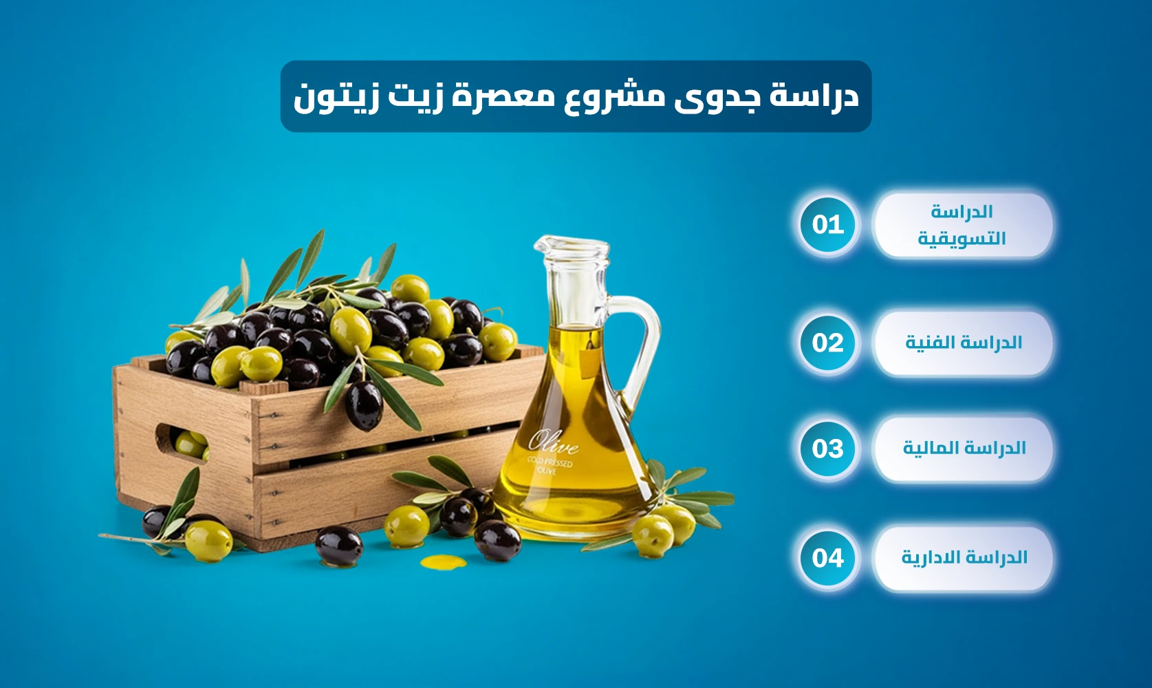 مشروع معصرة زيت زيتون