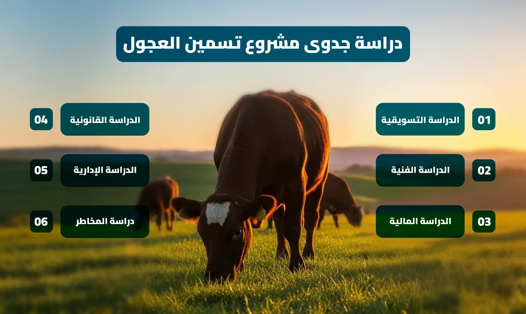 دراسة_جدوى_مشروع_تسمين_العجول