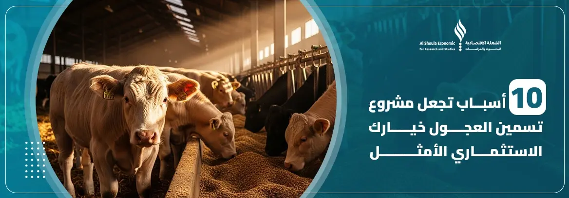 مشروع_تسمين_العجول