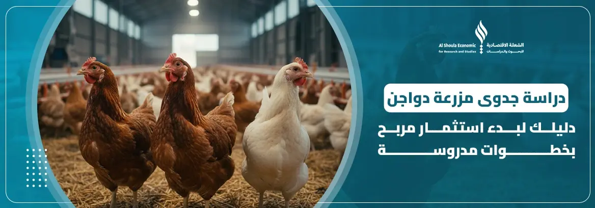 دراسة جدوى مزرعة دواجن