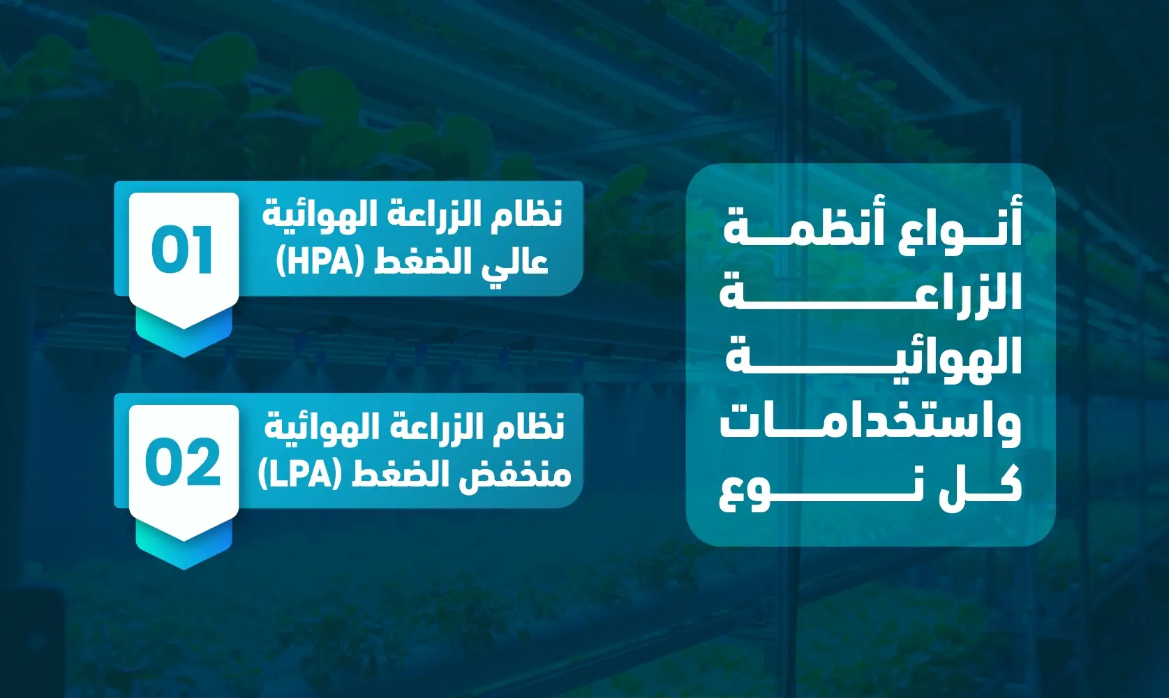 الزراعة الهوائية