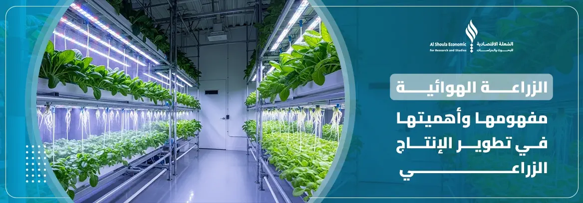 الزراعة الهوائية